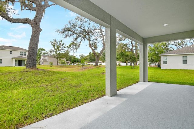 1067 CLOUD RIDGE COURT, Mount Dora, FL 32757