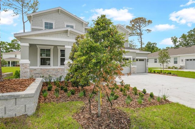 1067 CLOUD RIDGE COURT, Mount Dora, FL 32757
