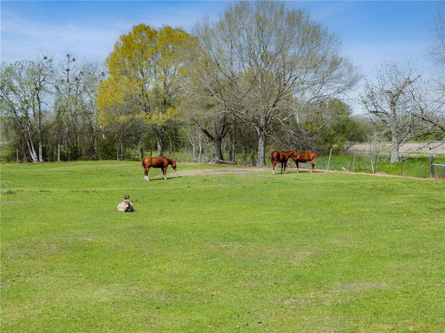 10626 Buls Road, Other, TX 77435
