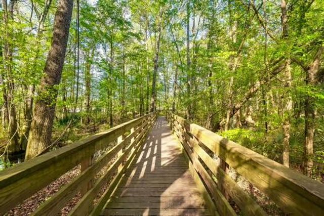 164 Ashley Bluffs Road, Summerville, SC 29485