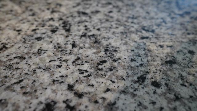 1204 PORT BLUE WAY, Lady Lake, FL 32159