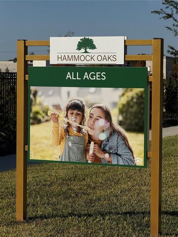 1204 PORT BLUE WAY, Lady Lake, FL 32159