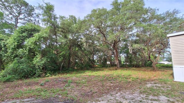 2502 SE 179TH AVENUE, Silver Springs, FL 34488