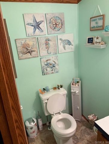 301 Birch Street, Mount Ida, AR 71957