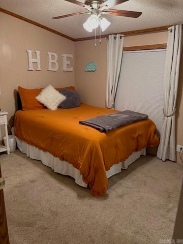 301 Birch Street, Mount Ida, AR 71957