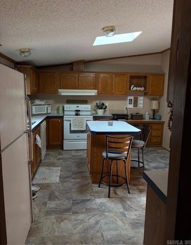 301 Birch Street, Mount Ida, AR 71957