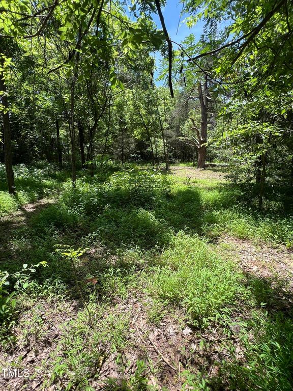 2201 Moorefields Rd, Hillsborough, NC 27278