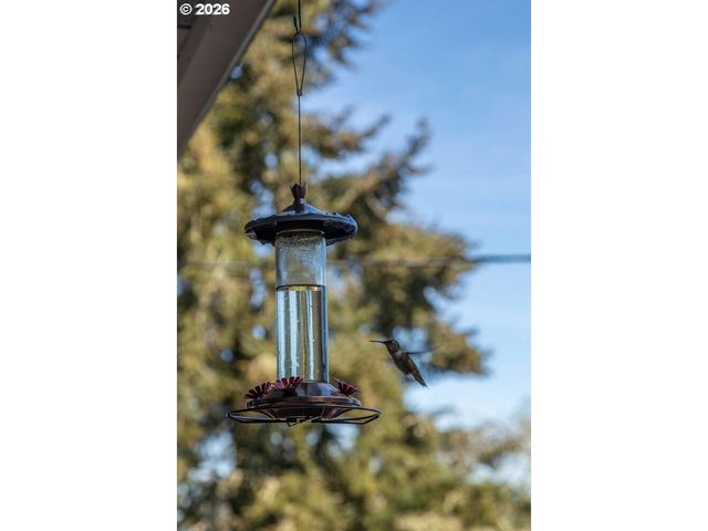 5491 Se TELEGRAPH Rd, Amity, OR 97101