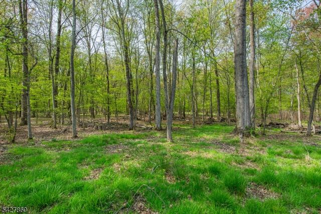 15 Norman Ave, Parsippany-troy Hills Twp., NJ 07034