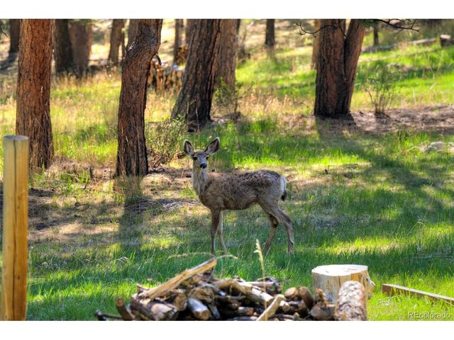 281 Kings, Evergreen, CO 80439