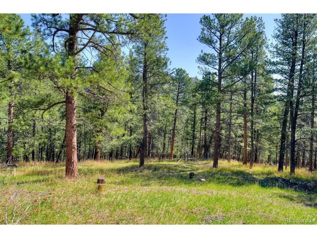 281 Kings, Evergreen, CO 80439
