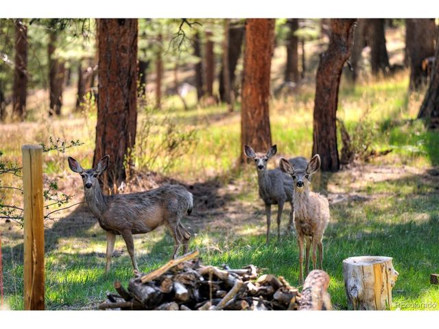 281 Kings, Evergreen, CO 80439