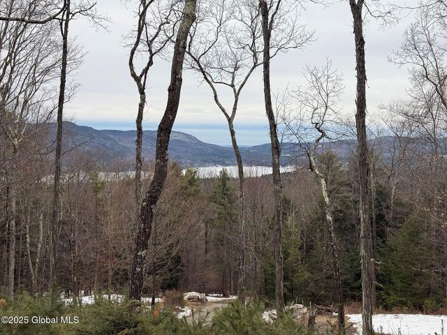 L43.2 Travis Trail, Lake George, NY 12845