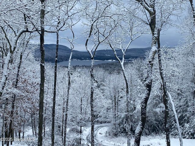 L43.2 Travis Trail, Lake George, NY 12845