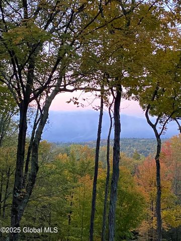 L43.2 Travis Trail, Lake George, NY 12845