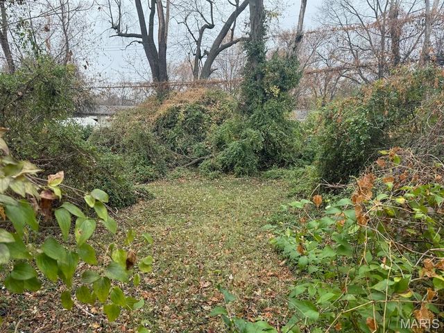 10449 Duke Drive, Unincorporated, MO 63136