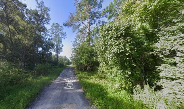 ATLEE STREET, New Port Richey, FL 34654