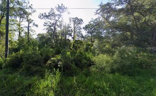 ATLEE STREET, New Port Richey, FL 34654