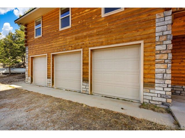 16382 Falcon Dr, Nathrop, CO 81236
