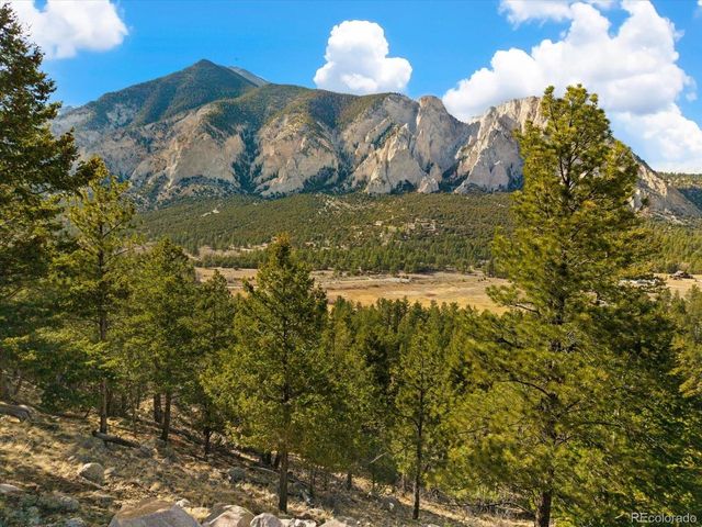 16382 Falcon Dr, Nathrop, CO 81236