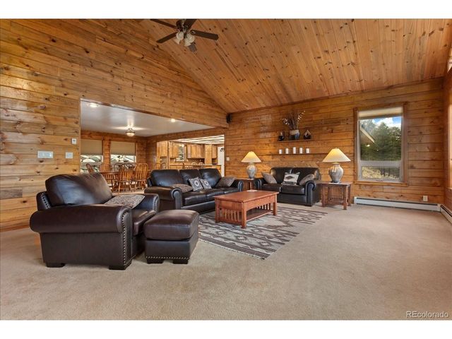 16382 Falcon Dr, Nathrop, CO 81236