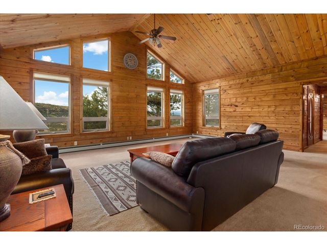 16382 Falcon Dr, Nathrop, CO 81236