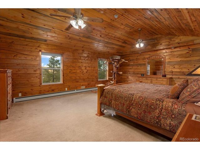 16382 Falcon Dr, Nathrop, CO 81236