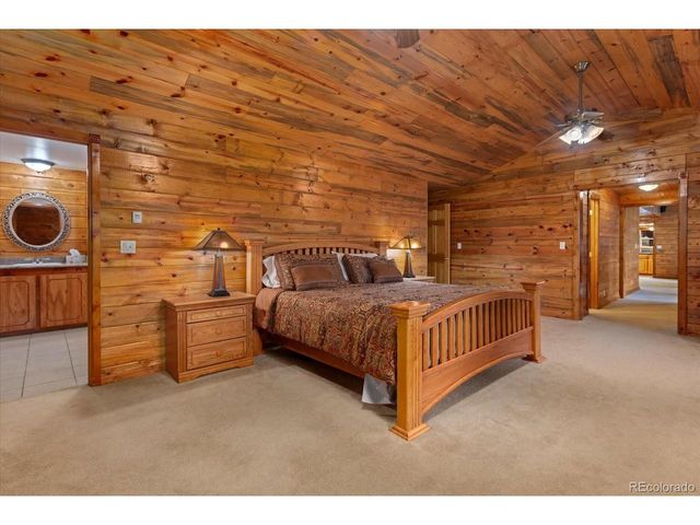 16382 Falcon Dr, Nathrop, CO 81236