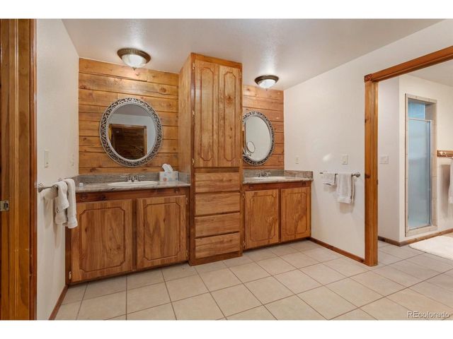 16382 Falcon Dr, Nathrop, CO 81236