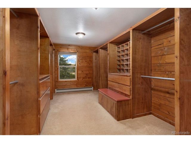 16382 Falcon Dr, Nathrop, CO 81236