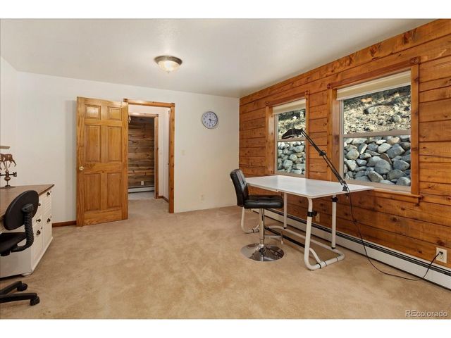 16382 Falcon Dr, Nathrop, CO 81236