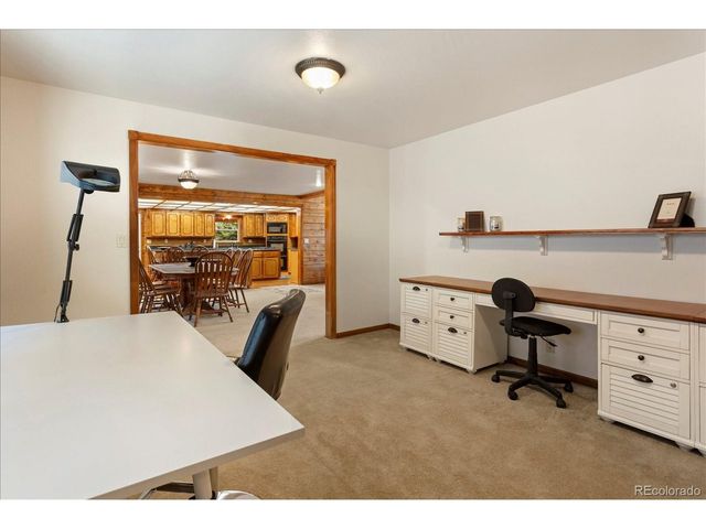 16382 Falcon Dr, Nathrop, CO 81236