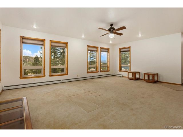 16382 Falcon Dr, Nathrop, CO 81236