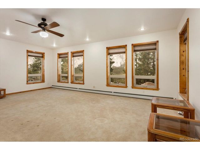 16382 Falcon Dr, Nathrop, CO 81236