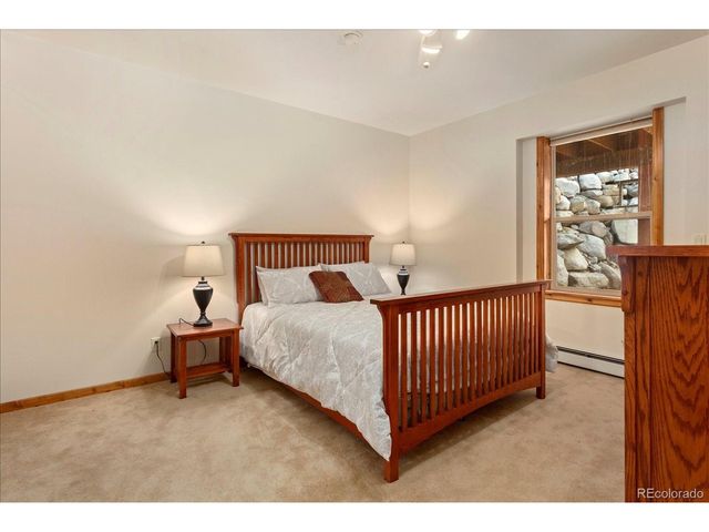 16382 Falcon Dr, Nathrop, CO 81236