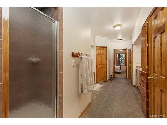 16382 Falcon Dr, Nathrop, CO 81236