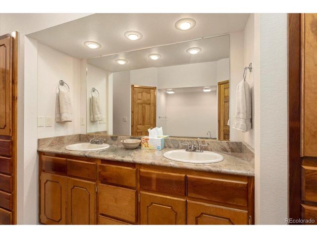 16382 Falcon Dr, Nathrop, CO 81236