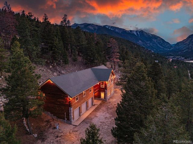 16382 Falcon Dr, Nathrop, CO 81236