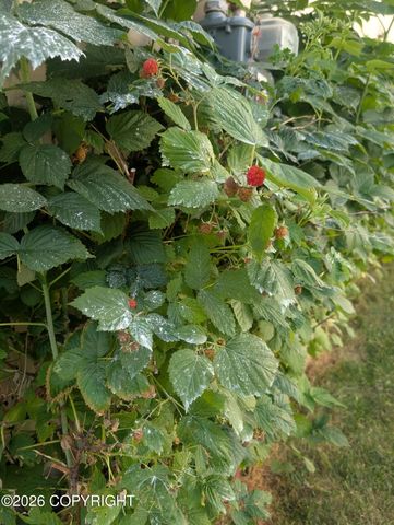 19861 Highland Ridge Drive, Eagle River, AK 99577