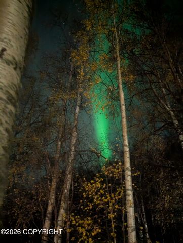 19861 Highland Ridge Drive, Eagle River, AK 99577