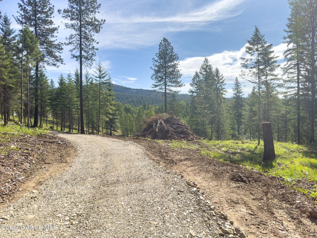 217 Gold Mountain (12.01 acres) Dr, Sagle, ID 83860