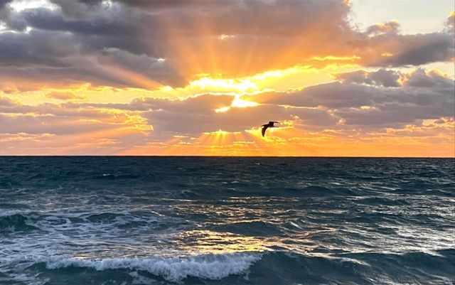 3606 S PENINSULA DRIVE 614, Port Orange, FL 32127