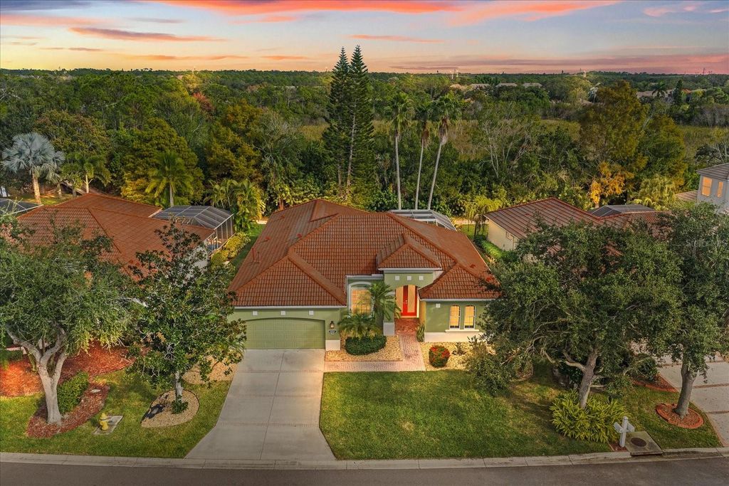 6619 PINEFEATHER COURT, Bradenton, FL 34203