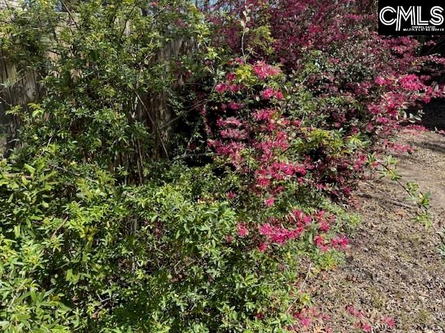 34 Founders Lake Court, Columbia, SC 29229