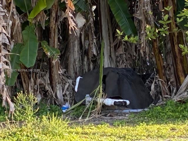 UNINCORPORATED, Miami, FL 33187
