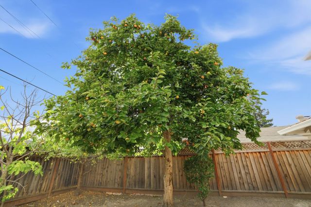 2366 Fatjo Place, Santa Clara, CA 95050