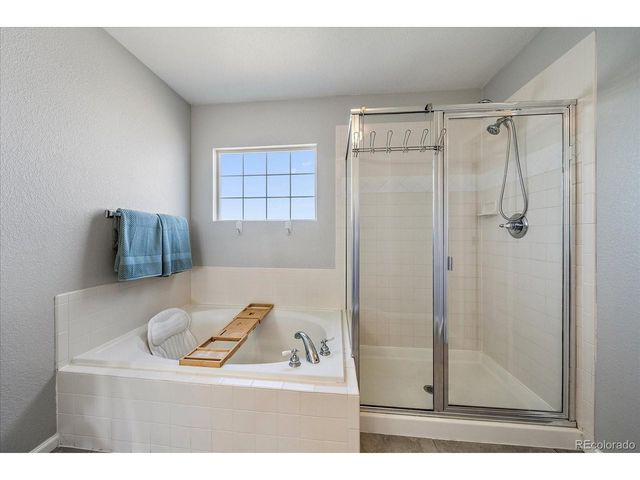 23350 Mill Valley Pl, Parker, CO 80138