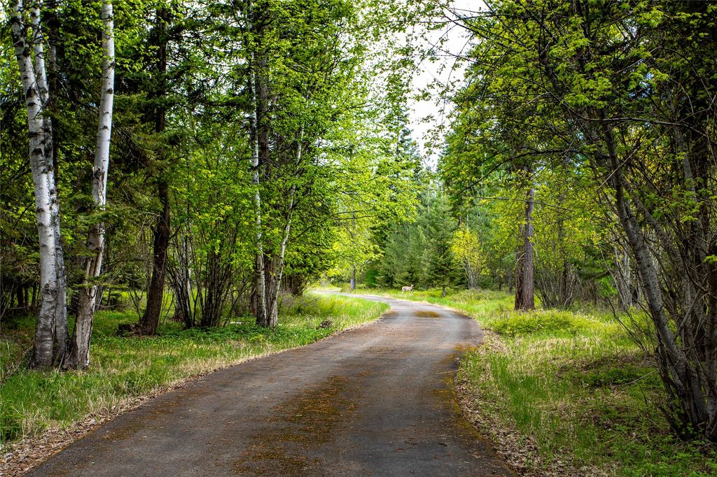 380 & 390 Haskill Basin Road, Whitefish, MT 59937 photo 50