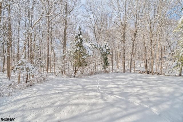 15 Paradise Pl, Roseland Boro, NJ 07068