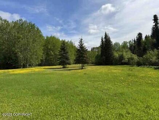 Mi 44.5 McCarthy Road, Chitina, AK 99588